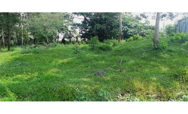 C.S Se vende hermosa finca para proyectos o ganadería