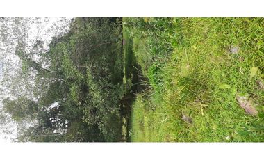 C.S Se vende hermosa finca para proyectos o ganadería