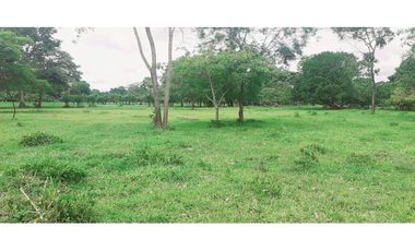 C.S Se vende hermosa finca para proyectos o ganadería