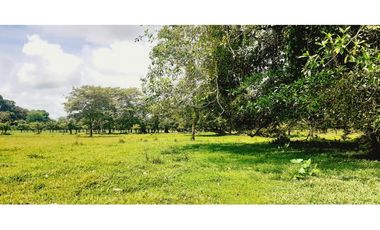 C.S Se vende hermosa finca para proyectos o ganadería