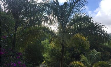 VENDO CASA DE CAMPO RIO NEGRO SANTANDER