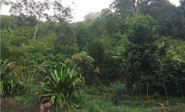 VENDO CASA DE CAMPO RIO NEGRO SANTANDER