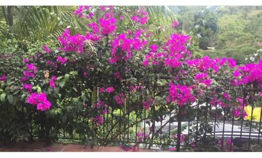 VENDO CASA DE CAMPO RIO NEGRO SANTANDER