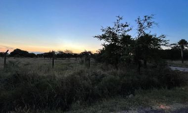 Terreno en venta de 8.000m2