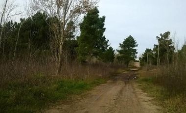 Manzana Unifamiliar En Las Gaviotas