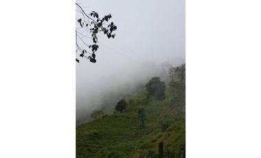 HERMOSA FINCA EN VENTA EN VELEZ LANZADURI