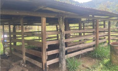 HERMOSA FINCA EN VENTA EN VELEZ LANZADURI