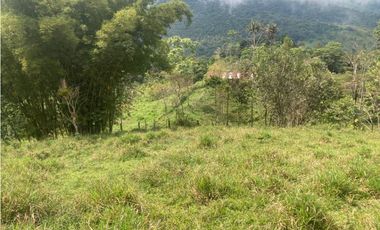 HERMOSA FINCA EN VENTA EN VELEZ LANZADURI