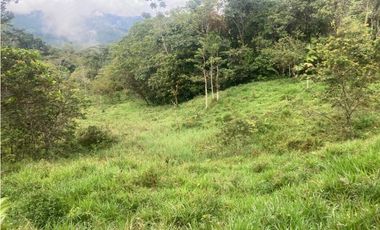 HERMOSA FINCA EN VENTA EN VELEZ LANZADURI