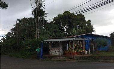 PEDREGAL,TERRENO ESQUINERO, 2000MTS CERCA AL CORREDOR DE LOS POBRES
