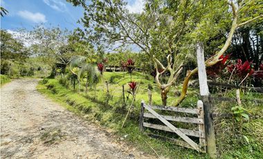 Vendo finca de 3 hectáreas con 2.000 m2 en San Roque, Antioquia