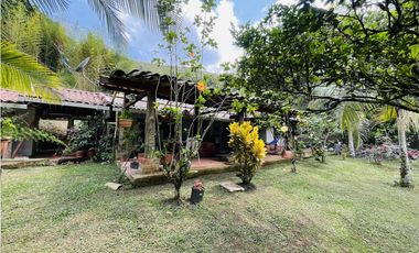 Vendo finca de 3 hectáreas con 2.000 m2 en San Roque, Antioquia
