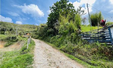 Vendo finca de 3 hectáreas con 2.000 m2 en San Roque, Antioquia