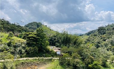 Vendo finca de 3 hectáreas con 2.000 m2 en San Roque, Antioquia