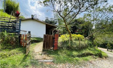 Vendo finca de 3 hectáreas con 2.000 m2 en San Roque, Antioquia