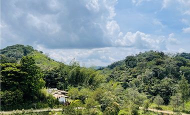 Vendo finca de 3 hectáreas con 2.000 m2 en San Roque, Antioquia