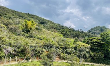 Vendo finca de 3 hectáreas con 2.000 m2 en San Roque, Antioquia