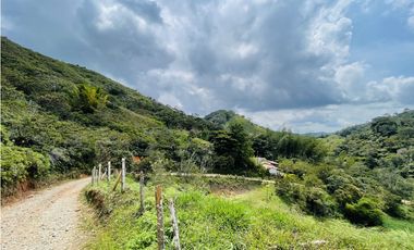Vendo finca de 3 hectáreas con 2.000 m2 en San Roque, Antioquia