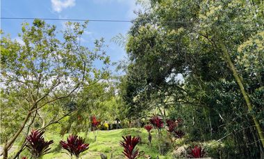 Vendo finca de 3 hectáreas con 2.000 m2 en San Roque, Antioquia