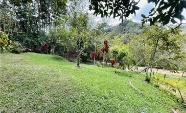 Vendo finca de 3 hectáreas con 2.000 m2 en San Roque, Antioquia