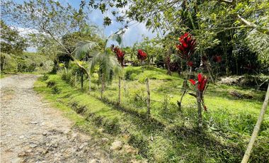 Vendo finca de 3 hectáreas con 2.000 m2 en San Roque, Antioquia