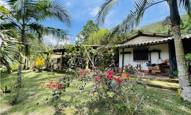 Vendo finca de 3 hectáreas con 2.000 m2 en San Roque, Antioquia