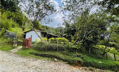 Vendo finca de 3 hectáreas con 2.000 m2 en San Roque, Antioquia