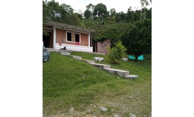 Finca  En Caldas Antioquia - Se Vende