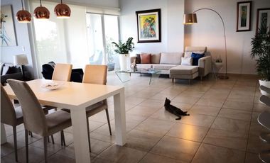 ALQUILER APARTAMENTO SEMI AMOBLADO AMADOR