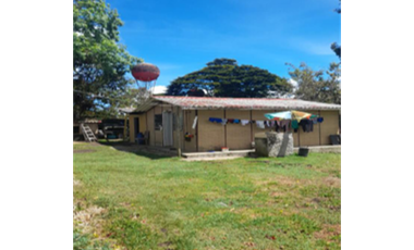 FINCA EN BELLO, VEREDA LA CHINA - EN VENTA