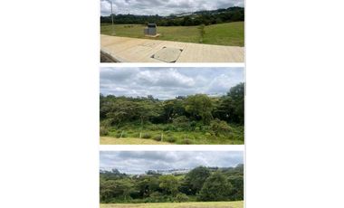 SE VENDEN LOTES EN PARCELACION EN ALTO DE LAS PALMAS,CERCA UNIVER. EIA