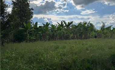 Finca Pequeña en Alquiler Vereda Marmato