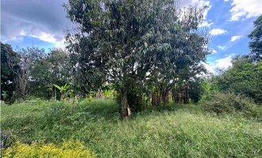 Finca Pequeña en Alquiler Vereda Marmato