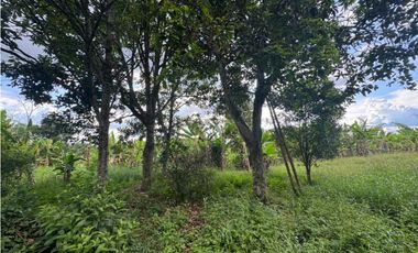 Finca Pequeña en Alquiler Vereda Marmato