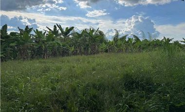Finca Pequeña en Alquiler Vereda Marmato