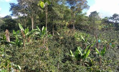 Finca de 13 cuadras en cafe platano y aguacate hermosa vista