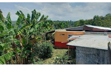 Finca de 13 cuadras en cafe platano y aguacate hermosa vista