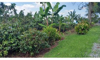 Finca de 13 cuadras en cafe platano y aguacate hermosa vista