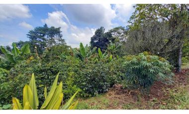 Finca de 13 cuadras en cafe platano y aguacate hermosa vista
