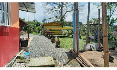 Finca de 13 cuadras en cafe platano y aguacate hermosa vista
