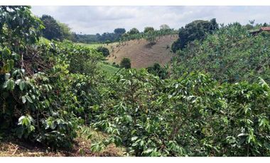 Finca de 13 cuadras en cafe platano y aguacate hermosa vista