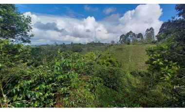 Finca chalet con vista y piscina para la venta a 8 km de filandia