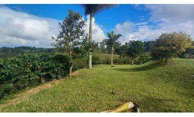 Finca chalet con vista y piscina para la venta a 8 km de filandia