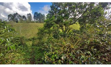 Finca chalet con vista y piscina para la venta a 8 km de filandia