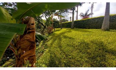 Finca chalet con vista y piscina para la venta a 8 km de filandia