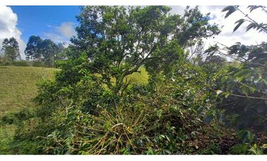 Finca chalet con vista y piscina para la venta a 8 km de filandia