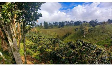 Finca chalet con vista y piscina para la venta a 8 km de filandia