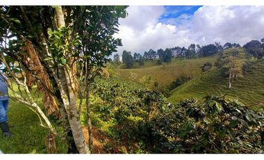 Finca chalet con vista y piscina para la venta a 8 km de filandia