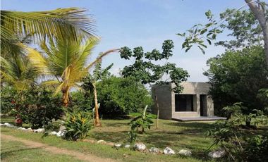 VENDO CASA FINCA EN LORICA CÓRDOBA