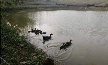 VENDO CASA FINCA EN LORICA CÓRDOBA